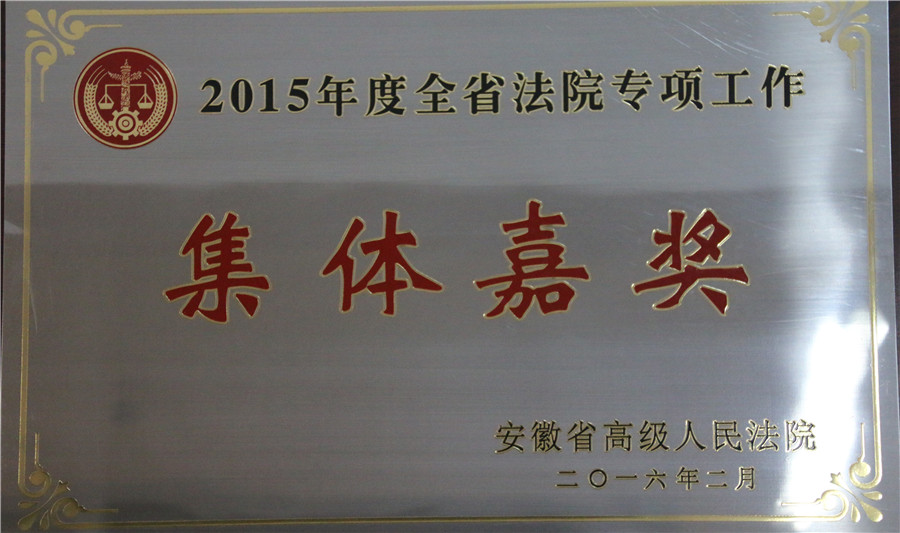 2015年度全省法院专项工作集体嘉奖本